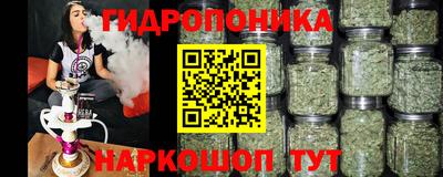стаф Нальчик