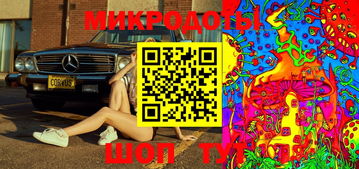 Галлюциногенные грибы Psilocybine cubensis Химки